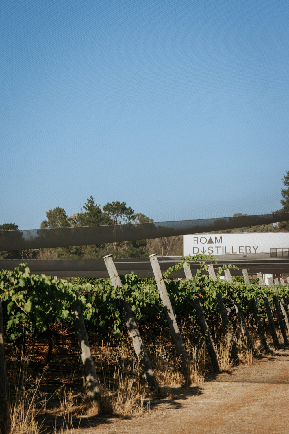 Roam Distillery | Explore Organic Gins, Limoncello, Vodka & Whisky