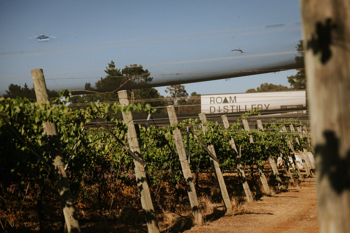 Roam Distillery | Explore Organic Gins, Limoncello, Vodka & Whisky