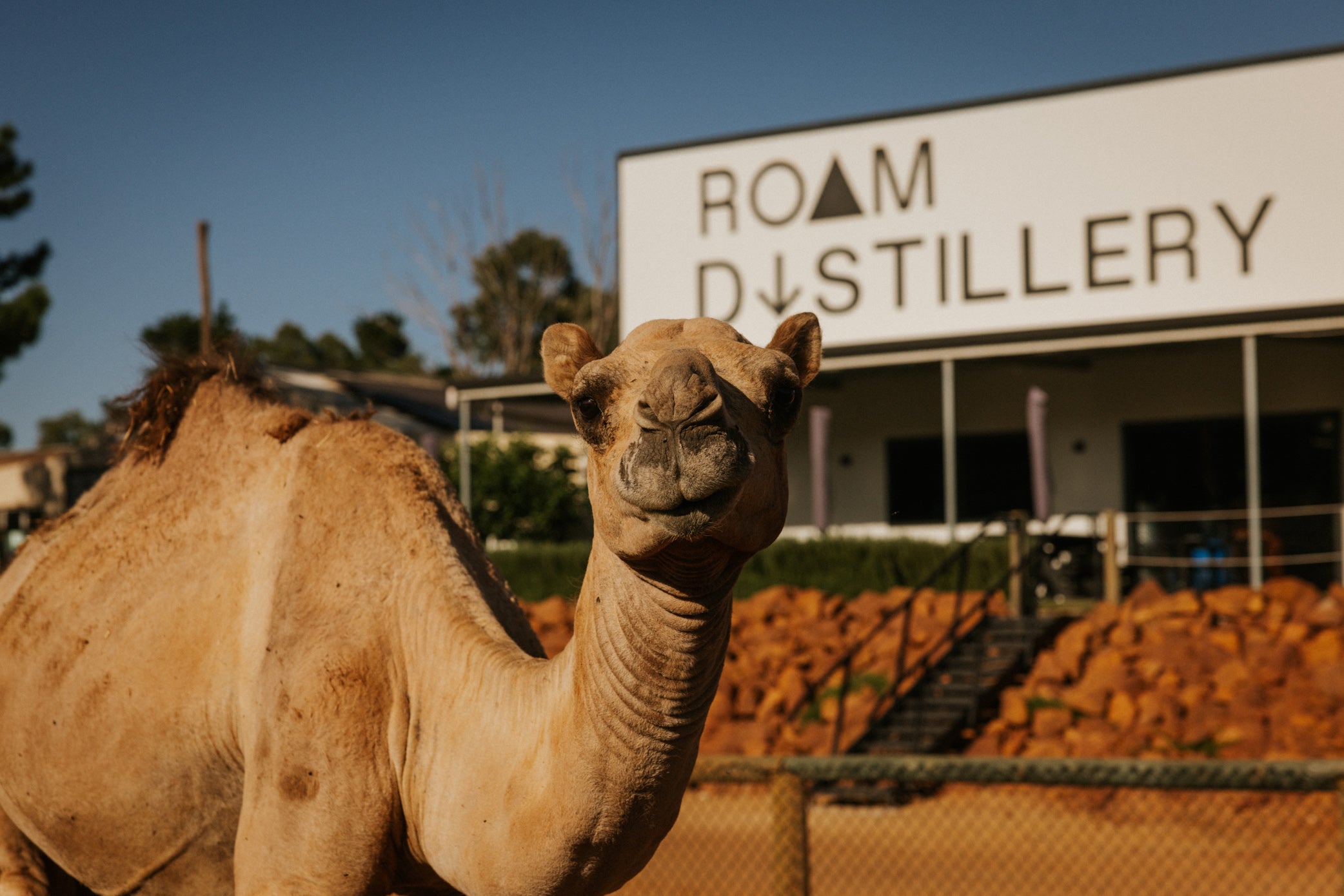 Desert Horse Vodka